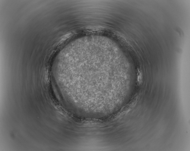 X0000112760819200909101528