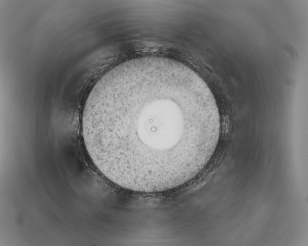 X0000112760820200909101528