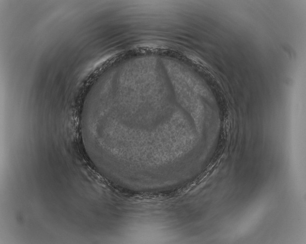X0000112760822200909101528