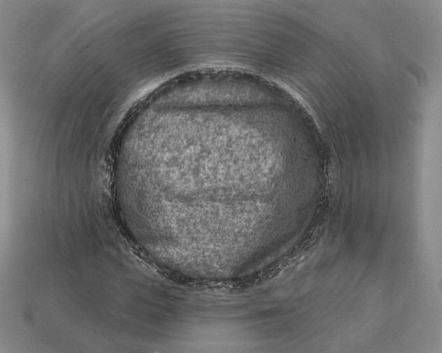 X0000112760823200909101528