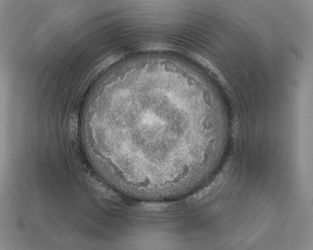 X0000112760825200909101528