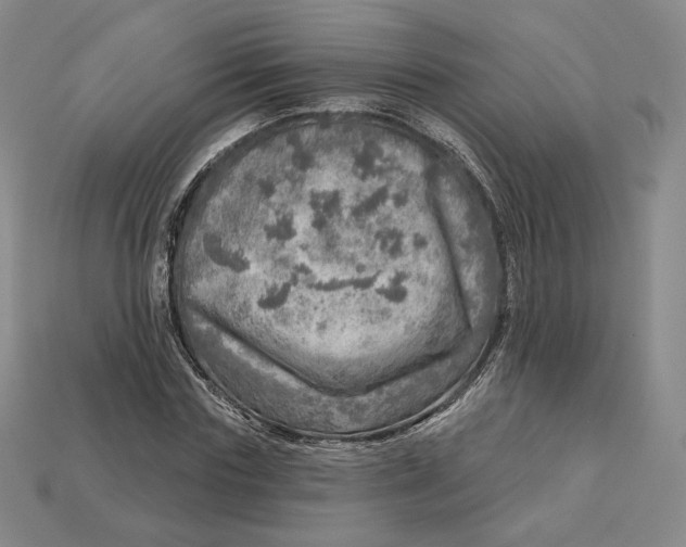 X0000112760827200909101528