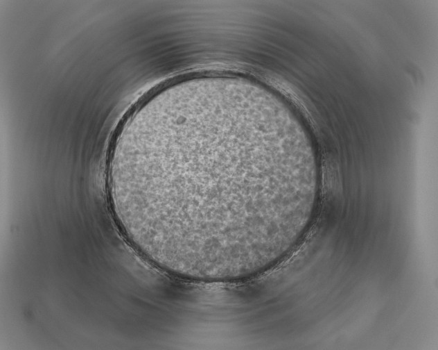 X0000112760828200909101528