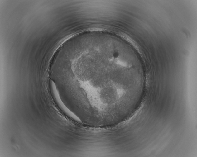X0000112760829200909101528