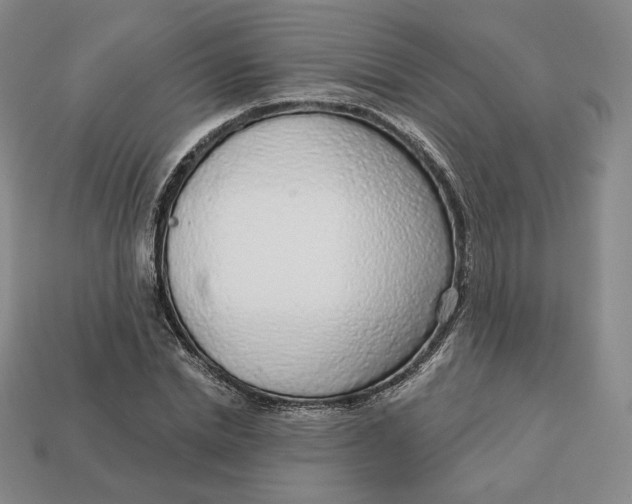 X0000112760830200909101528