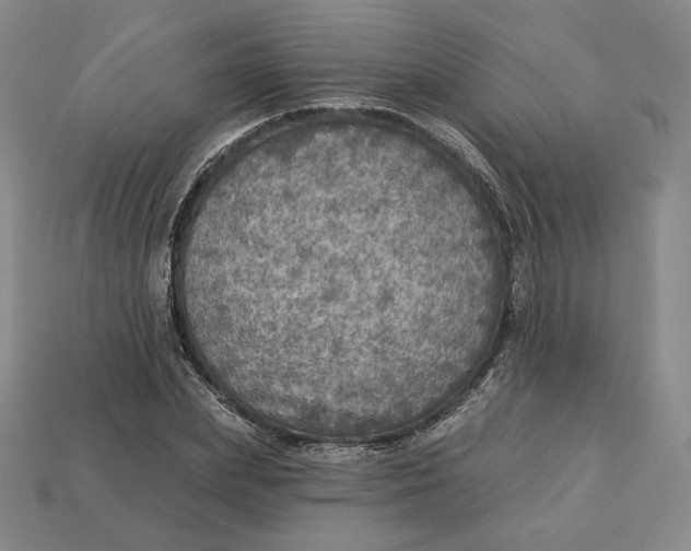 X0000112760831200909101528