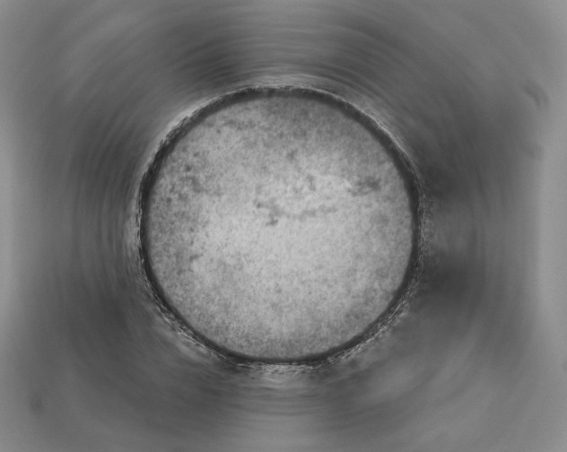 X0000112760832200909101528