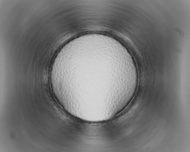 X0000112760833200909101528