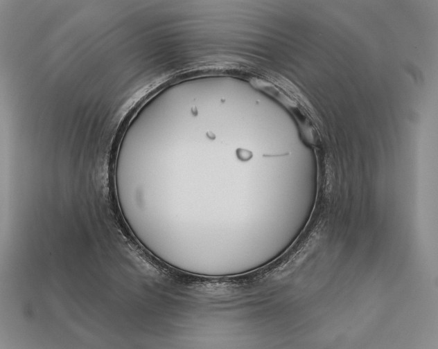 X0000112760834200909101528