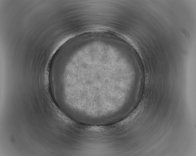 X0000112760835200909101528