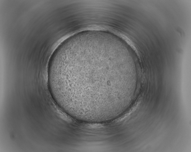 X0000112760837200909101529