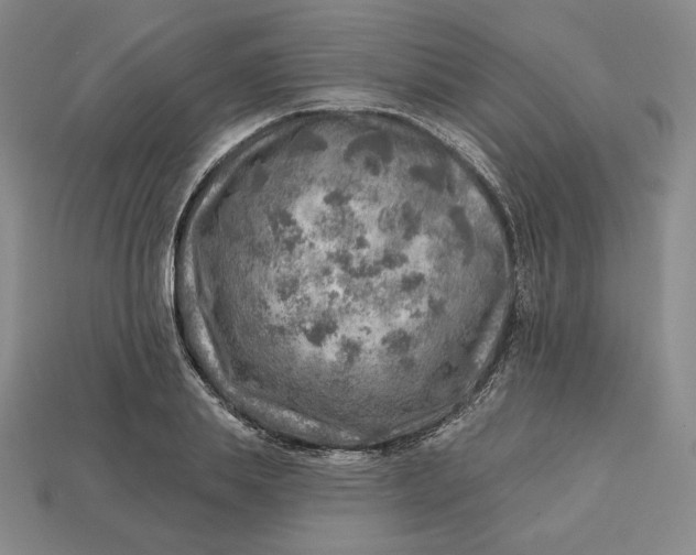 X0000112760839200909101529
