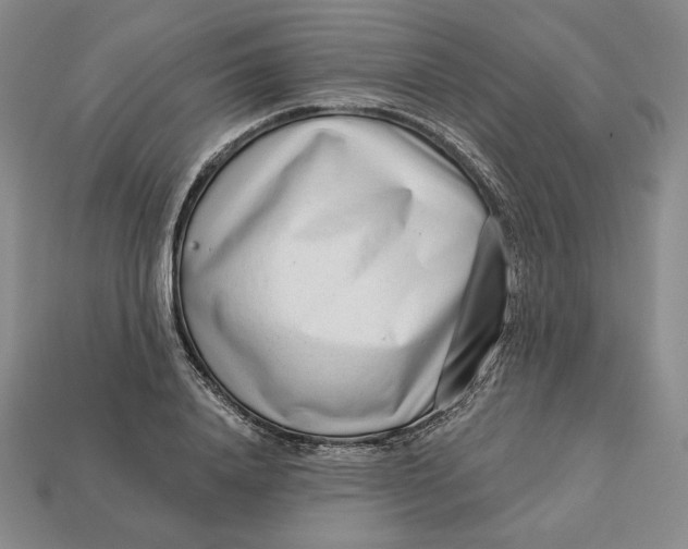 X0000112760840200909101529