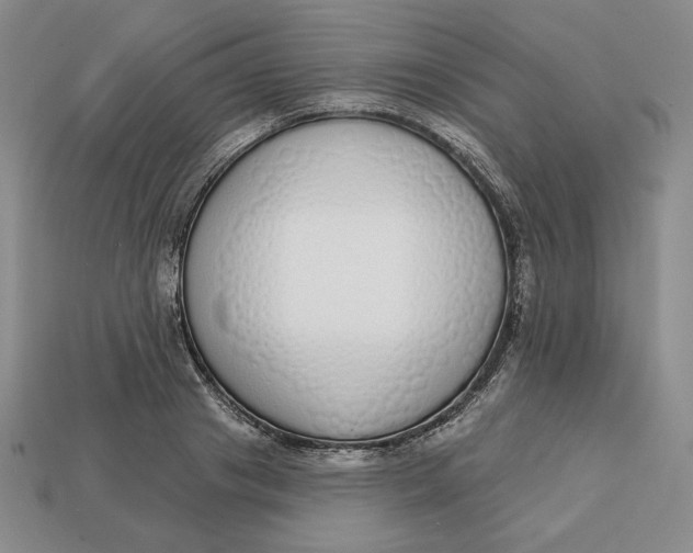 X0000112760841200909101529