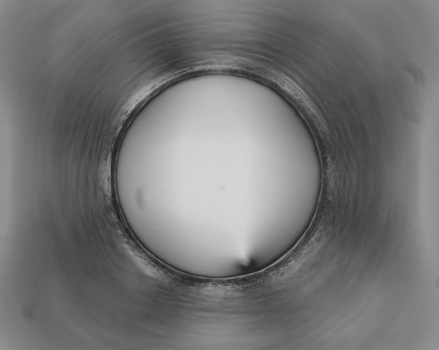 X0000112760842200909101529