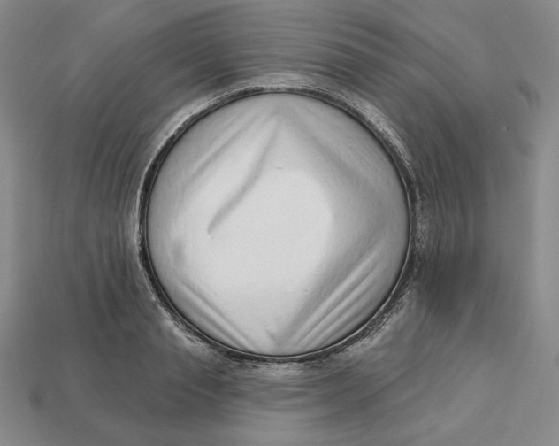 X0000112760845200909101529
