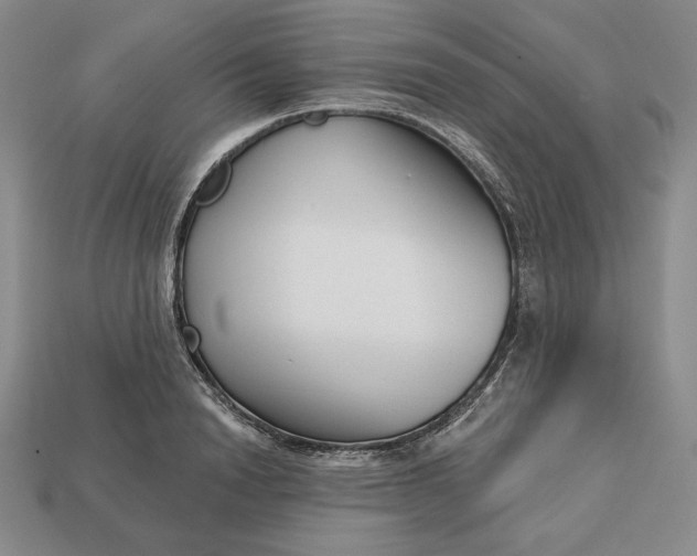 X0000112760846200909101529