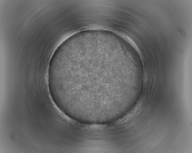 X0000112760847200909101529