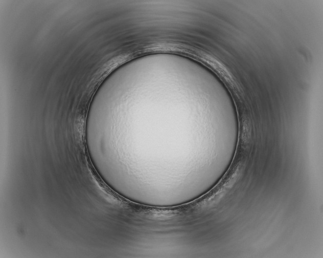 X0000112760849200909101529