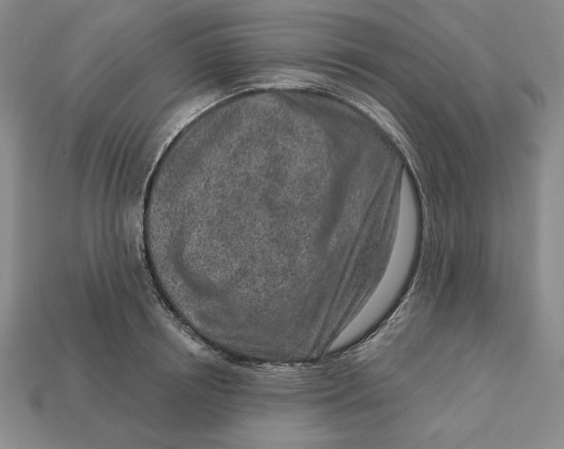 X0000112760850200909101529