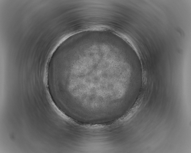 X0000112760851200909101529