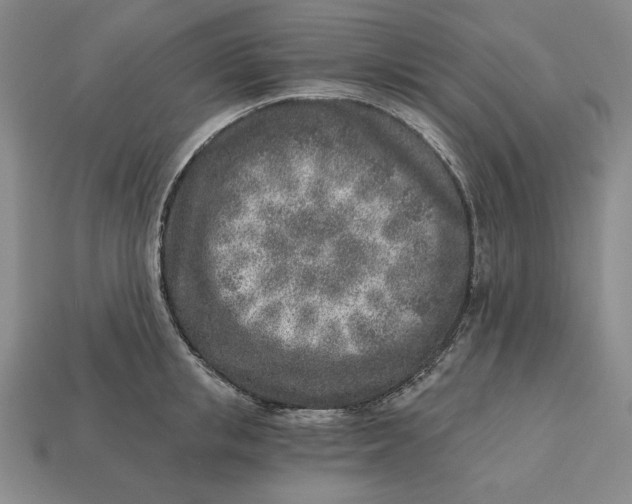 X0000112760853200909101529