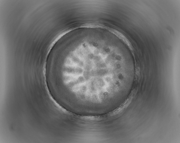 X0000112760855200909101529