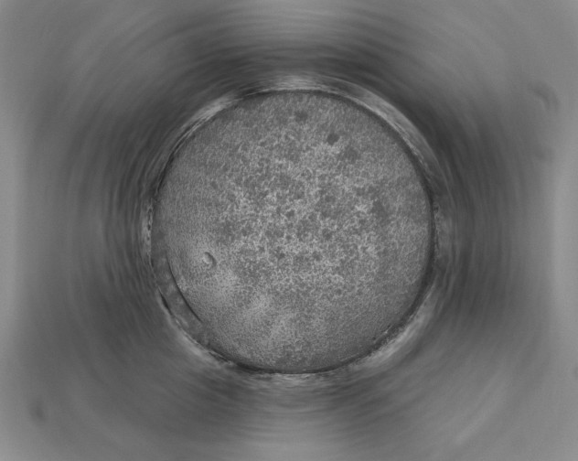 X0000112760857200909101529