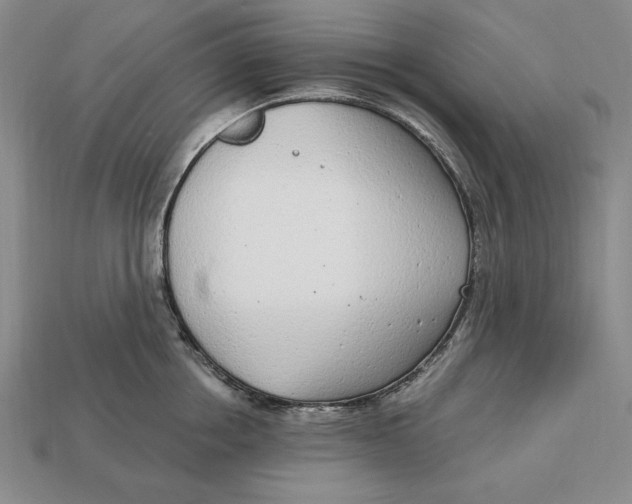 X0000112760858200909101529