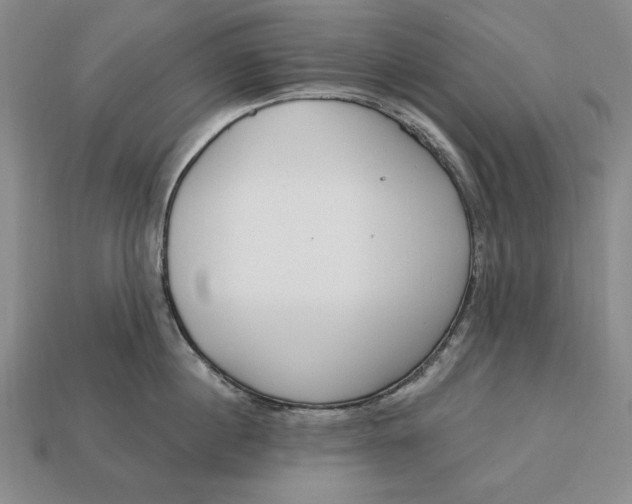 X0000112760860200909101529