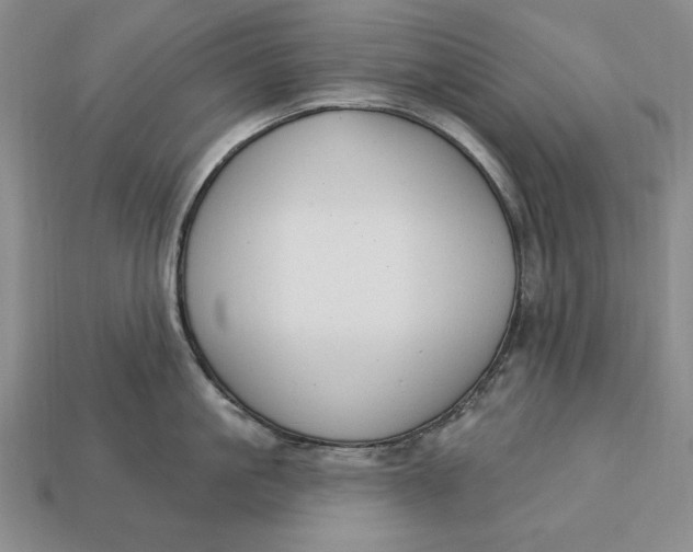 X0000112760861200909101529