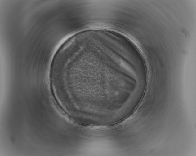 X0000112760864200909101529
