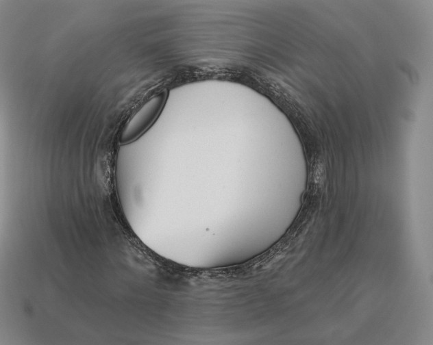 X0000112760868200909101528