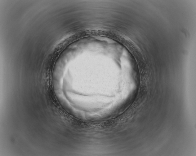 X0000112760870200909101528