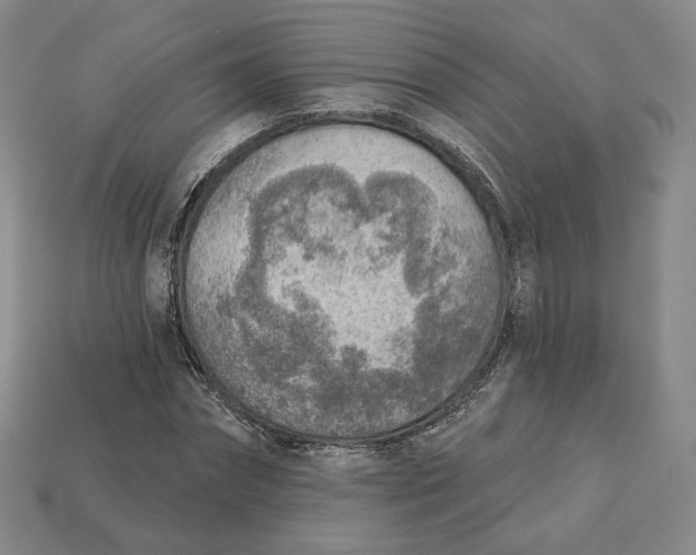 X0000112760874200909101528