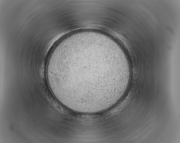 X0000112760875200909101528