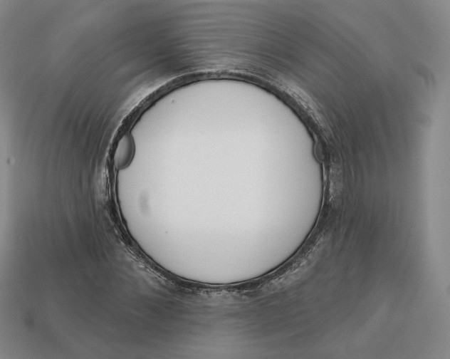 X0000112760876200909101528