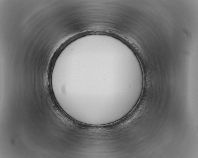 X0000112760880200909101528