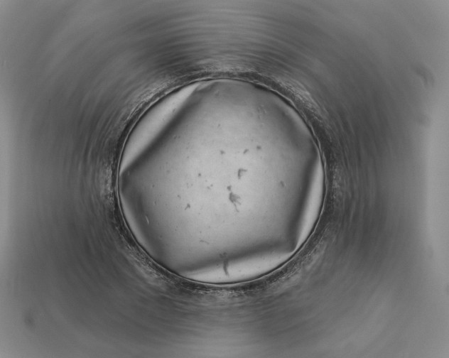 X0000112760881200909101528