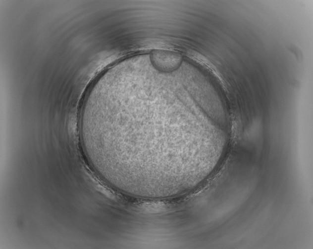 X0000112760882200909101528