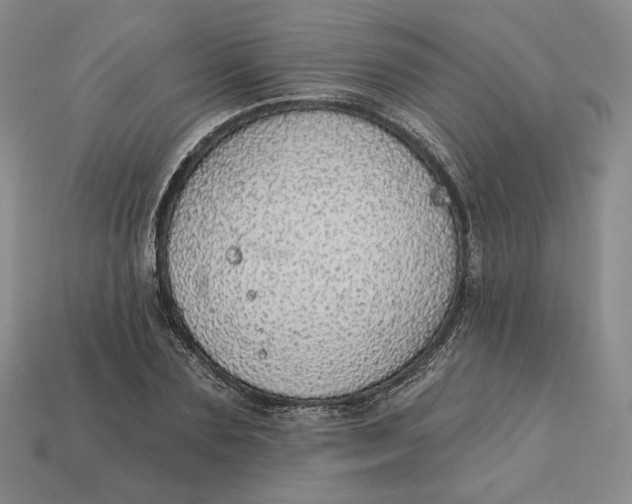 X0000112760883200909101528