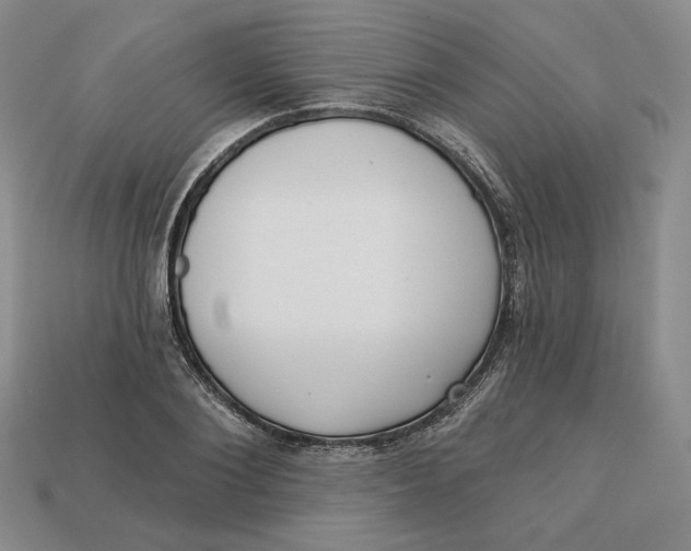 X0000112760884200909101528