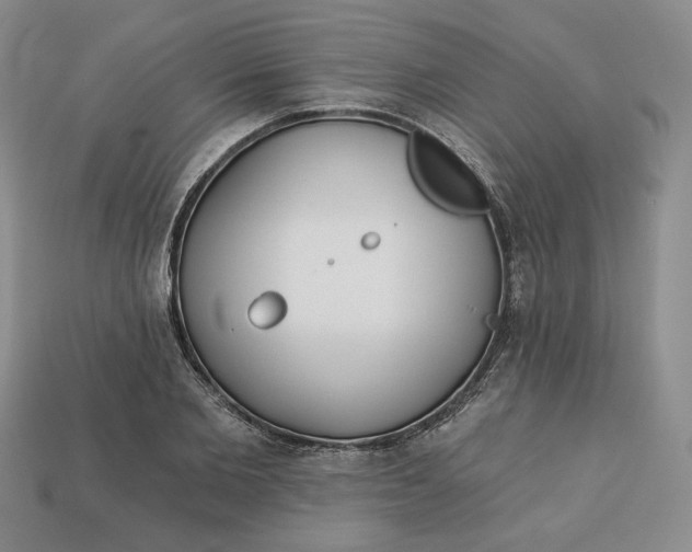 X0000112760885200909101528