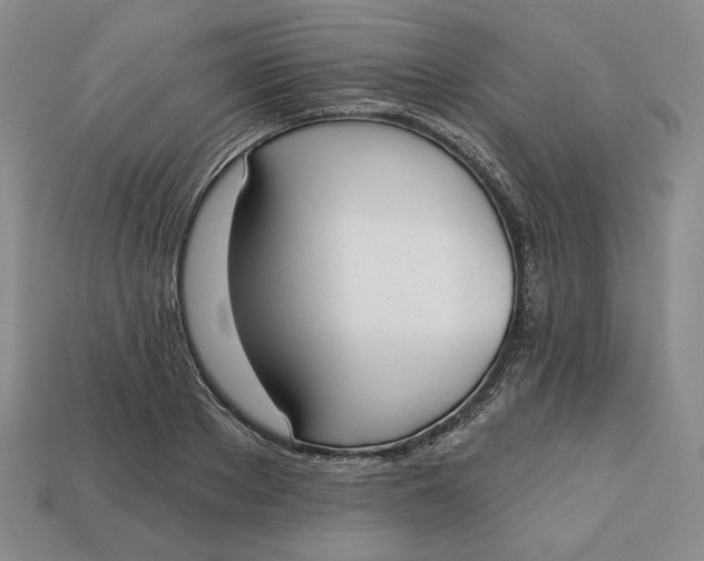 X0000112760889200909101528