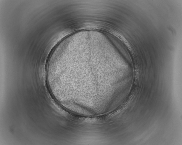 X0000112760890200909101528