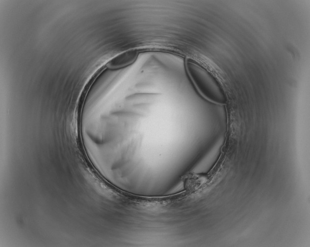 X0000112760892200909101528