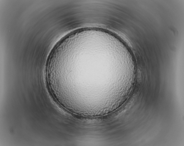 X0000112760895200909101528