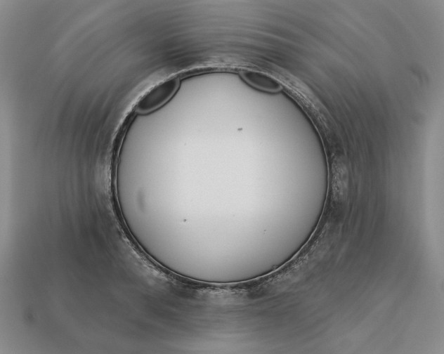 X0000112760896200909101528
