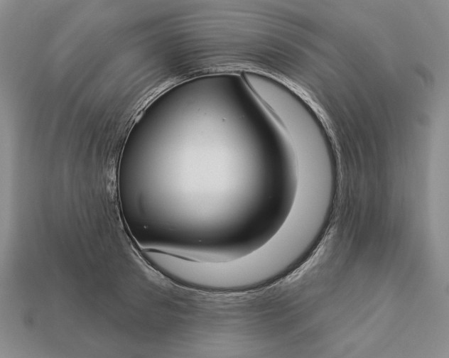 X0000112760897200909101528