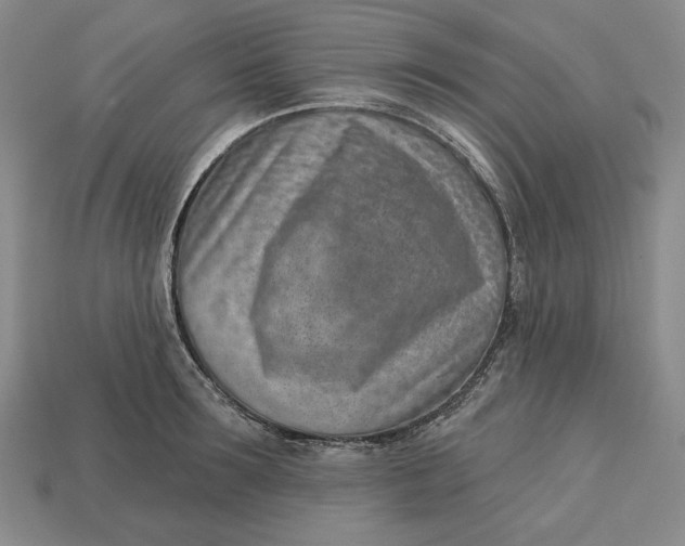 X0000112760899200909101528